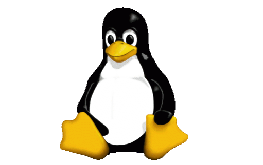 Linux系统下载